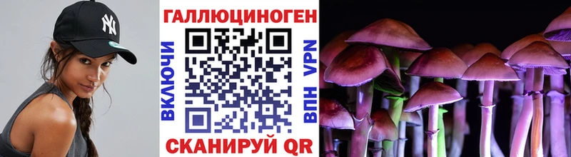 Псилоцибиновые грибы ЛСД где купить наркоту Красный Холм
